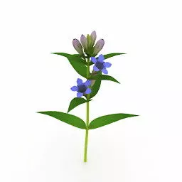 Lowpoly Flower V2 3d model