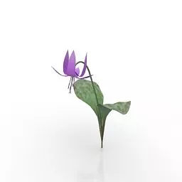Violet Flower V2 3d model