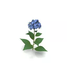 Garden Flower 3d model