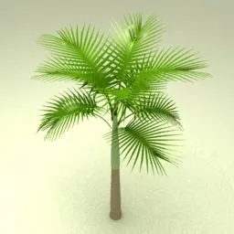 Lowpoly Palm Tree V1 3d model