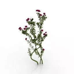 Garden Small Plant 3d model