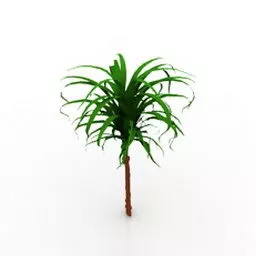 Tall Coconut Tree 3d model
