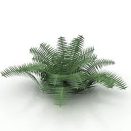 Garden Fern V1 3d model