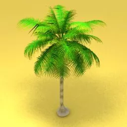 Realistic Coconut Palm Tree 3d model
