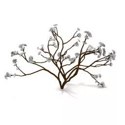 Dry Bush Plant 3d model
