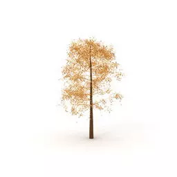 Autumn Leaves Tree V1 3d model