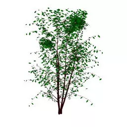 Nature Tree Bush Style 3d model
