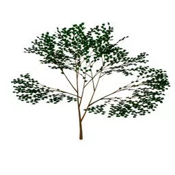 Garden Leaves Tree V1 3d model