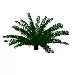 Realistic Coconut Palm Tree 3d model