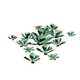 Garden Small Bush 3d model