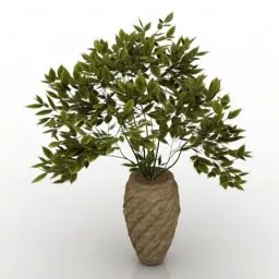 Potted Garden Plant Decoration 3d model