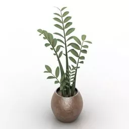 Living Room Potted Plant V1 3d model