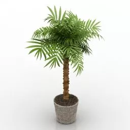 Lowpoly Tropical Palm Tree 3d model