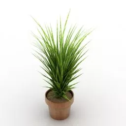 Garden Pot Plant 3d model