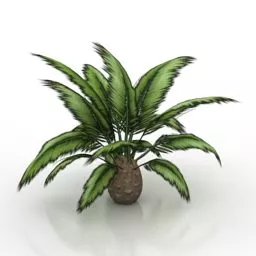 Palm Tree Low Plant 3d model