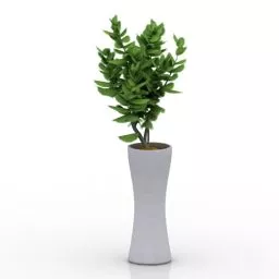 High Pot Plant 3d model