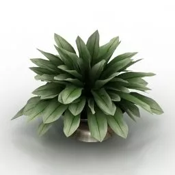 Garden Plant 3d model
