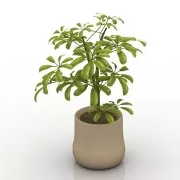 Stone Vase Plant 3d model