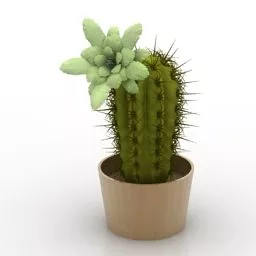 Desk Pot Cactus 3d model