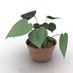 Clay Pot With Leaves Plant 3d model