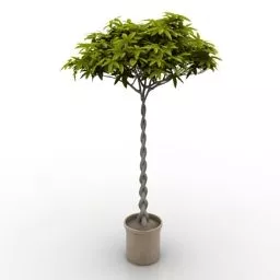 Office Decorative Plant In Pot 3d model