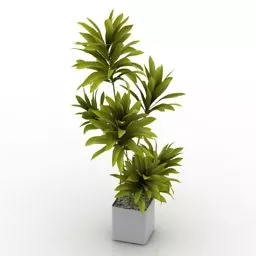 Terracotta Pot 3d model