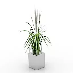 Desk Square Pot Flower 3d model