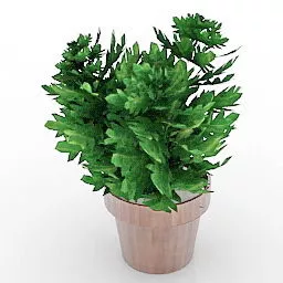 Table Pot Flower 3d model