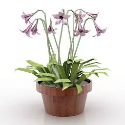 Home Table Pot Flower 3d model Home Table Pot Flower 3d model