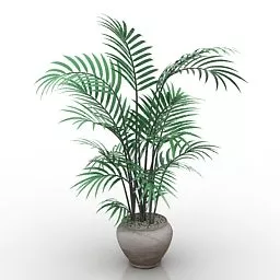 Small Pot Palm 3d model Small Pot Palm 3d model