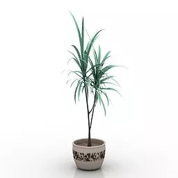 Palm In Pot 3d model Palm In Pot 3d model