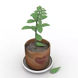 Minimalist Potted Plant 3d model
