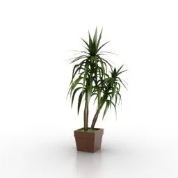 Palm Tree At The Beach 3d model