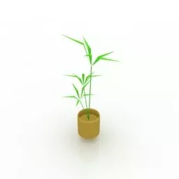 Ornamental Bamboo Plant In Pot 3d model