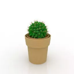 Clay Vessel Cactus Plant 3d model