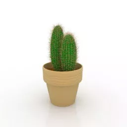 Clay Vessel Cactus 3d model