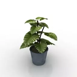 Home Decoration Potted Plant 3d model