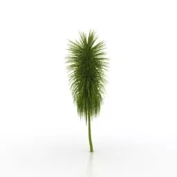 Garden Lowpoly Plant 3d model Garden Lowpoly Plant 3d model