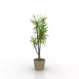 Potted Plant Bush 3d model