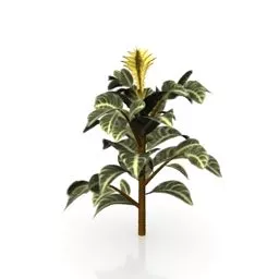 Garden Yellow Flower Plant 3d model