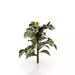 Garden Small Yellow Flower Plant 3d model