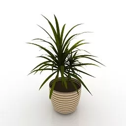 Indoor House Vase Plant 3d model