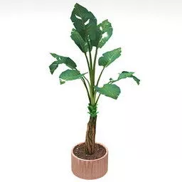 Palm Rattan Pot 3d model Palm Rattan Pot 3d model