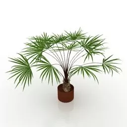 Small Vase Palm Tree 3d model