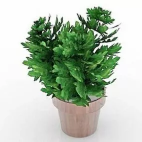 Clay Pot With Plant 3d model