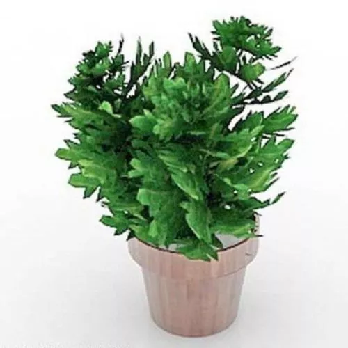 Clay Pot With Plant 3d model Clay Pot With Plant 3d model