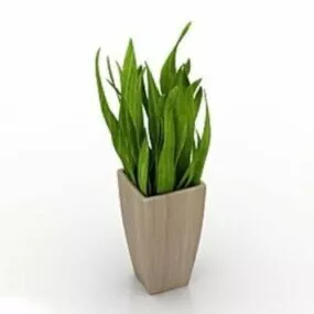 House Decoration With Plant Pot 3d model