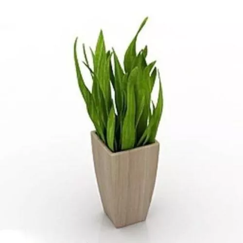 Terracotta Round Pot 3d model