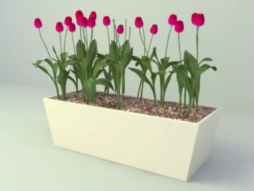 Rectangle Flower Pot Planter 3d model Rectangle Flower Pot Planter 3d model