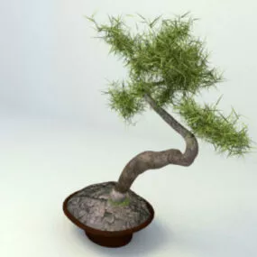 Japanese Bonsai Planter 3d model
